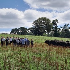 A group of people in a sloped field looking towards a forested area