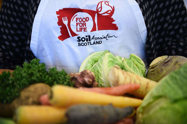Fresh vegetables in front of a person wearing an apron