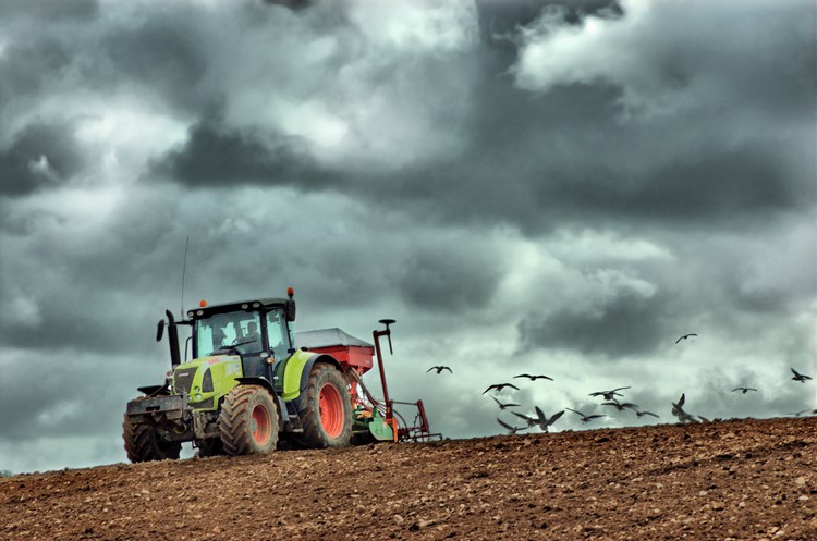 A tractor in a field with grey cloudy sky in the background