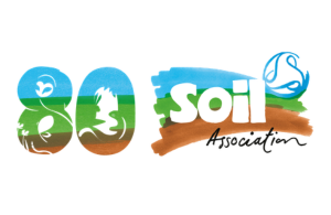 SA 80th logo.png